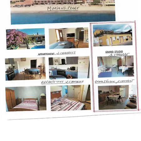 Casinu - Casino 別荘